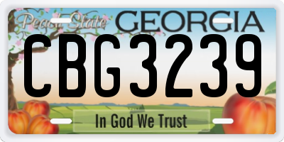 GA license plate CBG3239