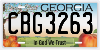 GA license plate CBG3263