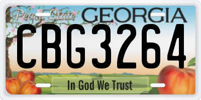 GA license plate CBG3264