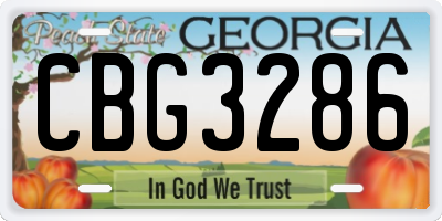 GA license plate CBG3286