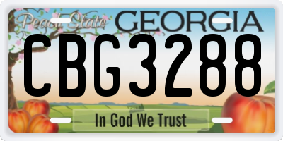 GA license plate CBG3288