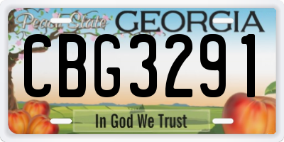 GA license plate CBG3291