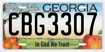 GA license plate CBG3307