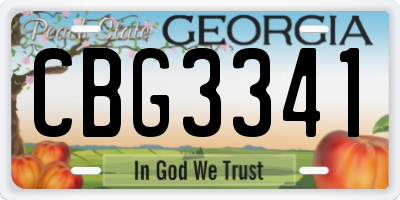 GA license plate CBG3341