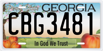 GA license plate CBG3481