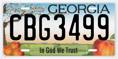GA license plate CBG3499