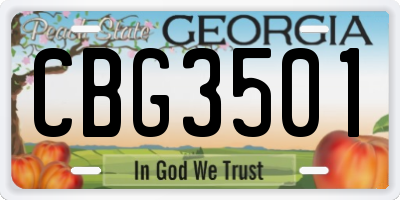 GA license plate CBG3501