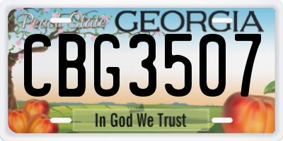 GA license plate CBG3507