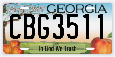 GA license plate CBG3511