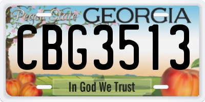 GA license plate CBG3513