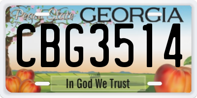GA license plate CBG3514
