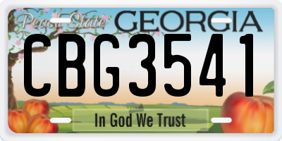 GA license plate CBG3541