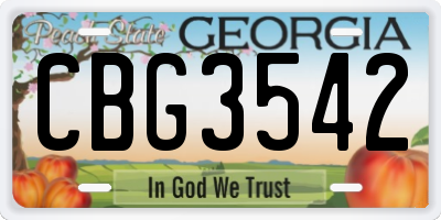 GA license plate CBG3542