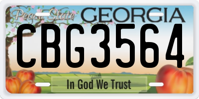 GA license plate CBG3564