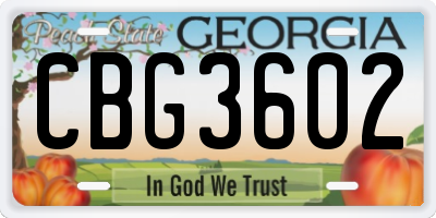 GA license plate CBG3602