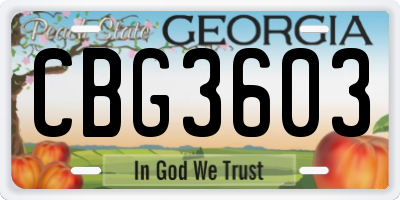 GA license plate CBG3603