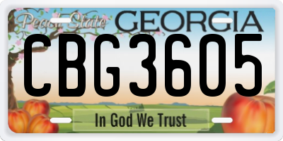 GA license plate CBG3605