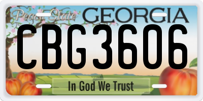 GA license plate CBG3606