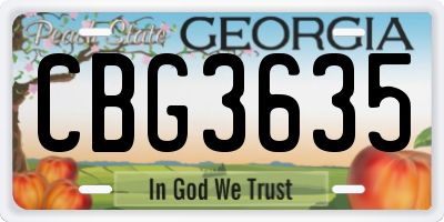 GA license plate CBG3635