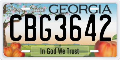 GA license plate CBG3642