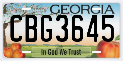 GA license plate CBG3645