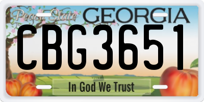 GA license plate CBG3651