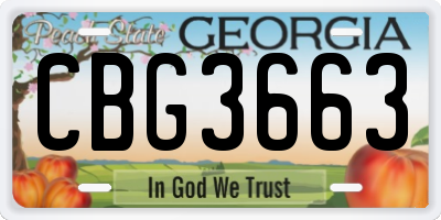 GA license plate CBG3663
