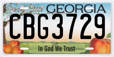 GA license plate CBG3729