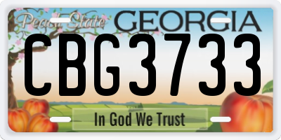 GA license plate CBG3733