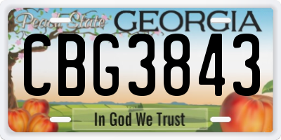 GA license plate CBG3843