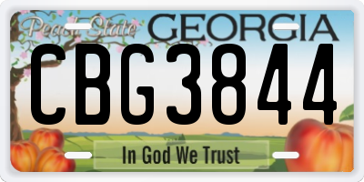 GA license plate CBG3844