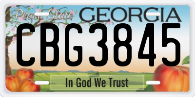 GA license plate CBG3845