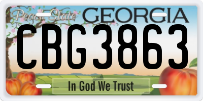 GA license plate CBG3863