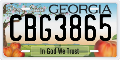 GA license plate CBG3865