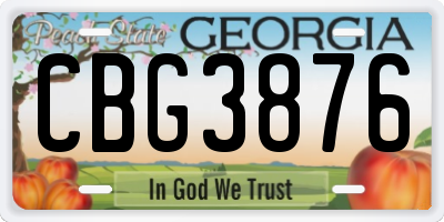 GA license plate CBG3876