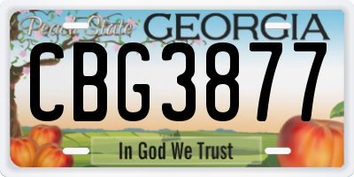 GA license plate CBG3877