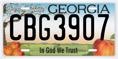GA license plate CBG3907