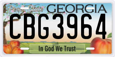 GA license plate CBG3964