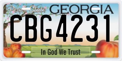 GA license plate CBG4231
