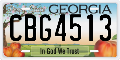 GA license plate CBG4513