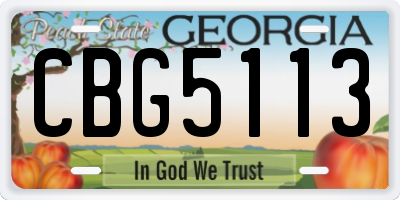 GA license plate CBG5113