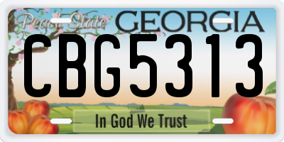 GA license plate CBG5313