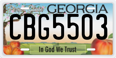 GA license plate CBG5503