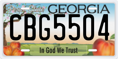 GA license plate CBG5504