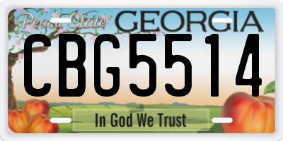 GA license plate CBG5514