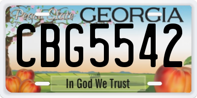 GA license plate CBG5542