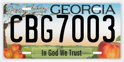 GA license plate CBG7003