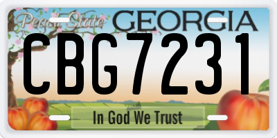 GA license plate CBG7231