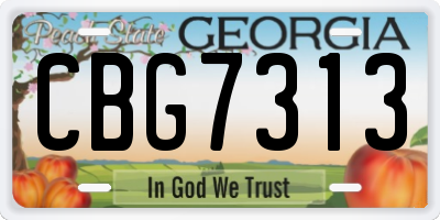GA license plate CBG7313