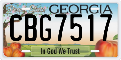 GA license plate CBG7517